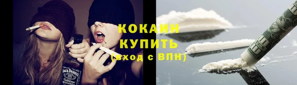 шишки Армянск