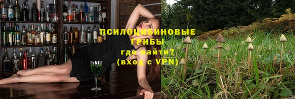 герыч Арсеньев