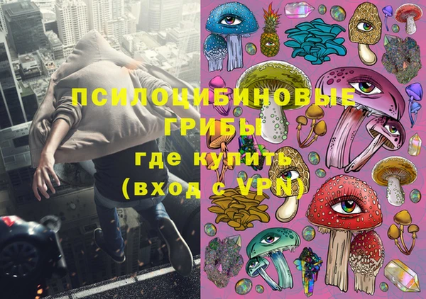 герыч Арсеньев