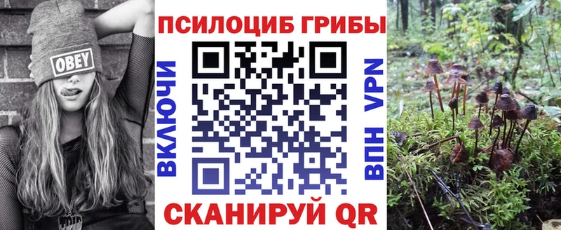 Галлюциногенные грибы GOLDEN TEACHER  Баймак 